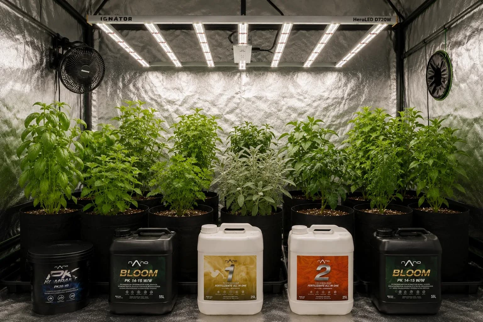 Flowering Nutrition: How to Bulk Up Buds Without Burning the Plant